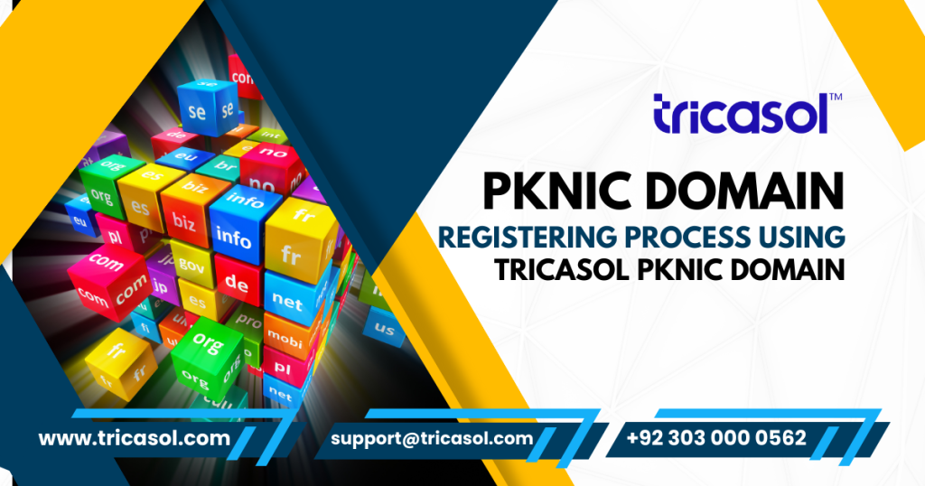 Making your PKNIC Domain Registering Process using Tricasol PKNIC Domain