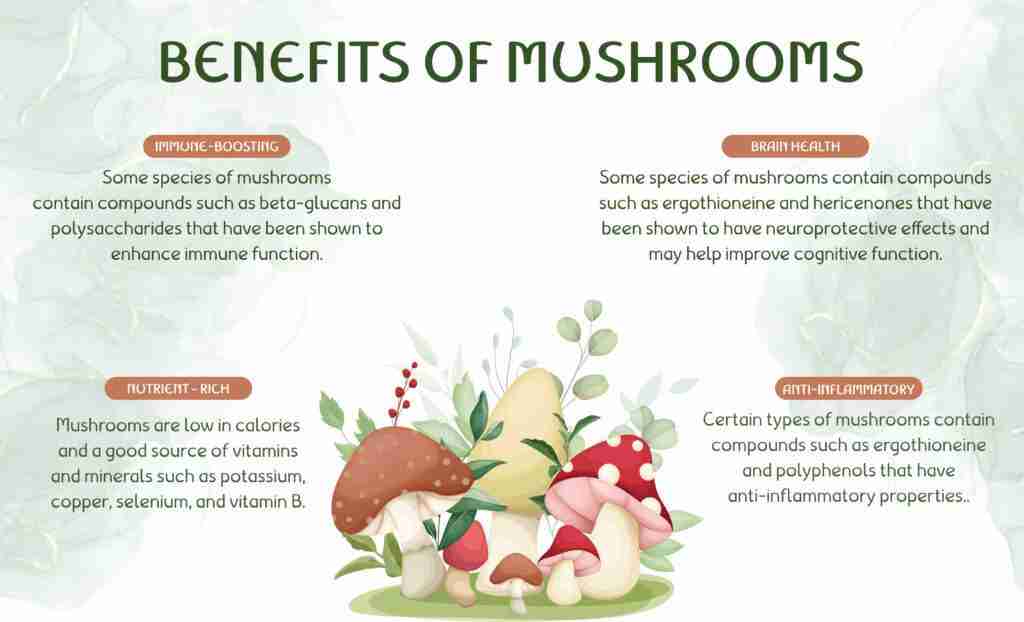 Buy psychedelic mushrooms united states
