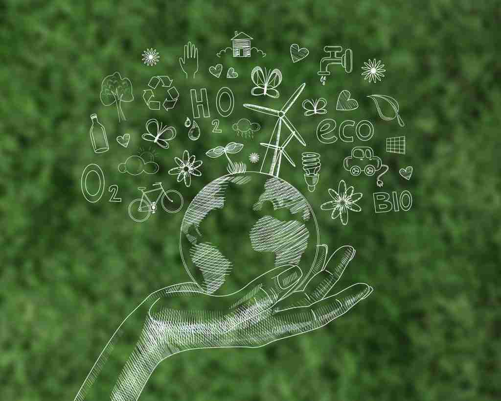 Green Stamp of Approval: ISO 14001 Certification and Your Business