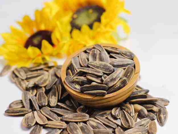 From Garden to Plate: Harnessing the Health Benefits of Sunflower Seeds