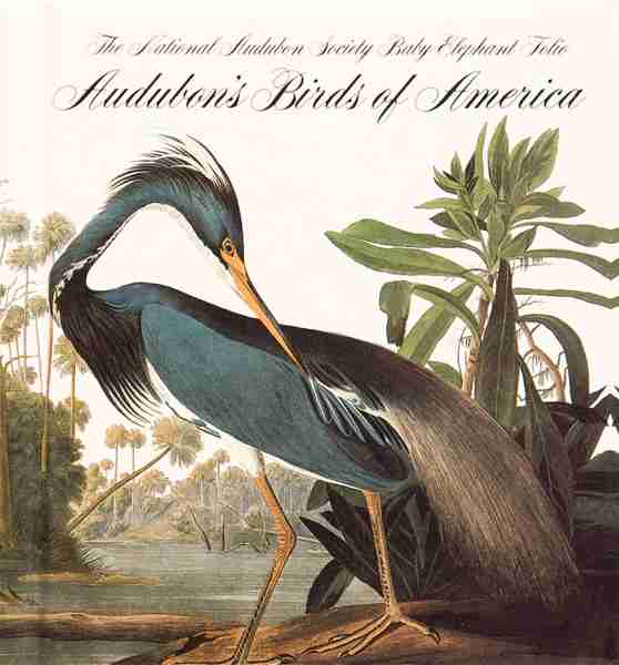 Who Was John James Audubon And What Inspired Him To Create Birds Of America?