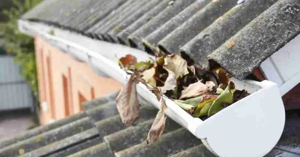 How Often Should You Have Your Gutters Cleaned? A Guide for Homeowners