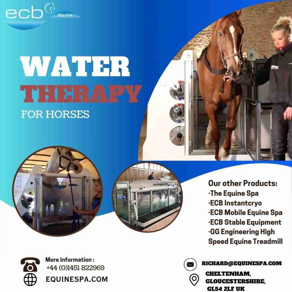 Making Waves for Wellness: Guide to Water Therapy for Horses