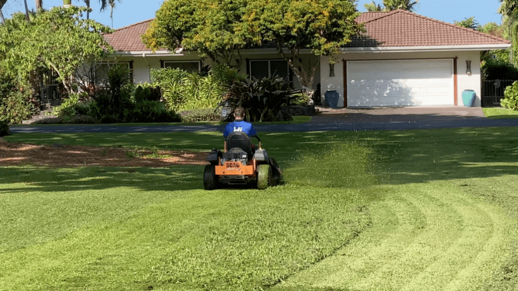 What Are the Best Plants for Low-Maintenance Yards in Hawaii?