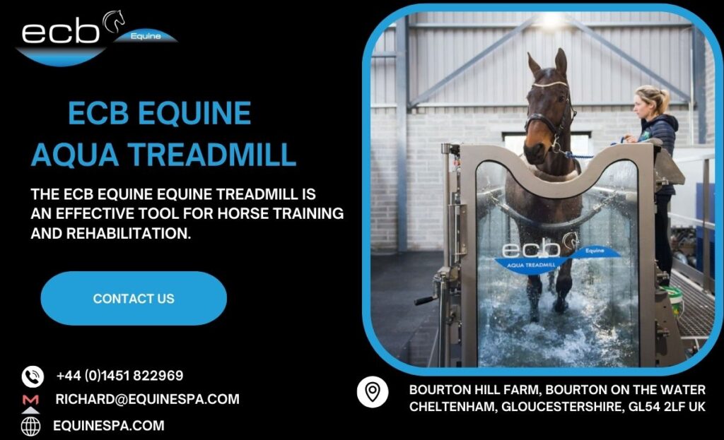 Equine Fitness: The Advantages of Treadmills for Horses