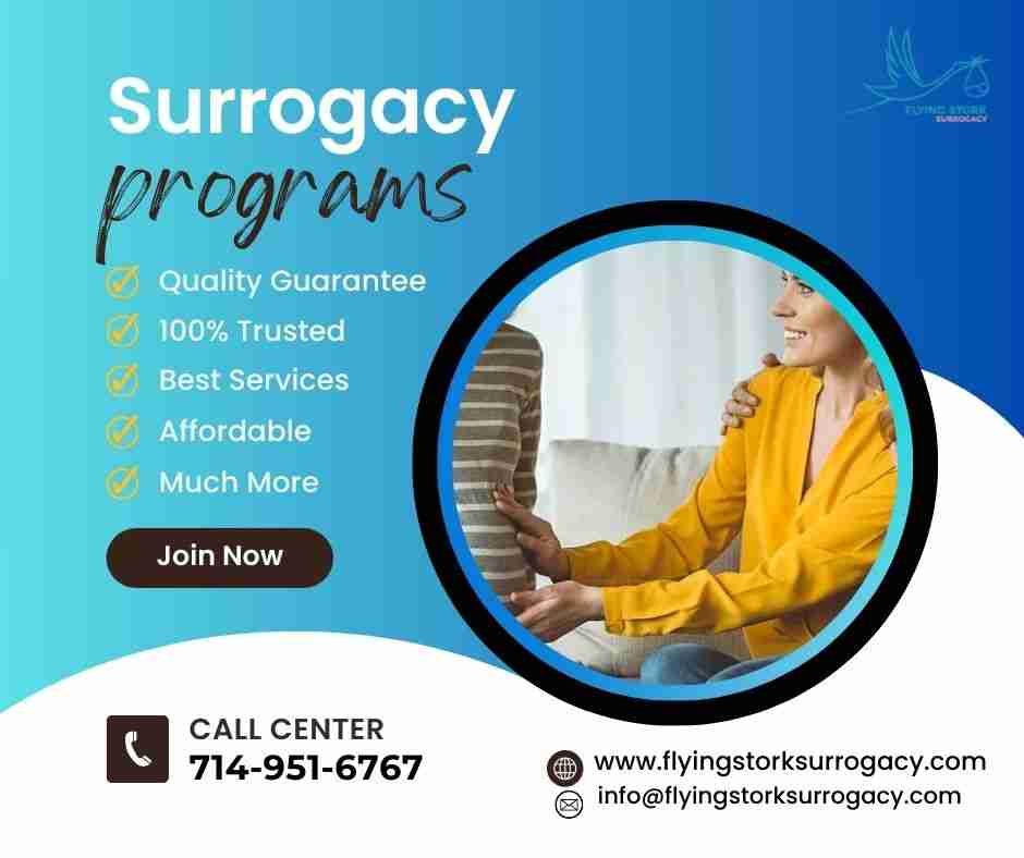 Navigating Surrogacy Programs: A Comprehensive Guide