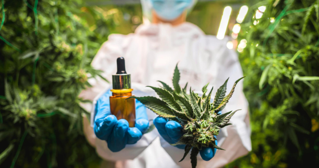 Exploring the Therapeutic Promise of Medicinal Cannabis 