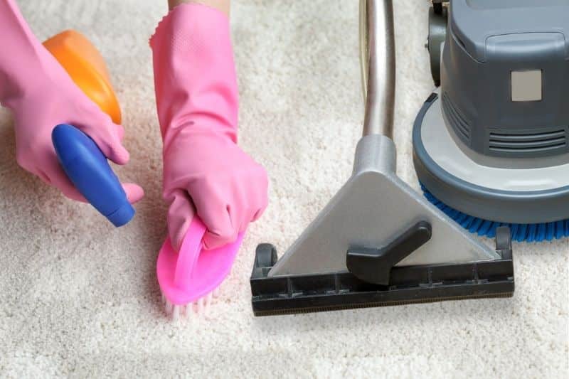 Benefits of Professional Carpet Cleaning vs DIY Methods