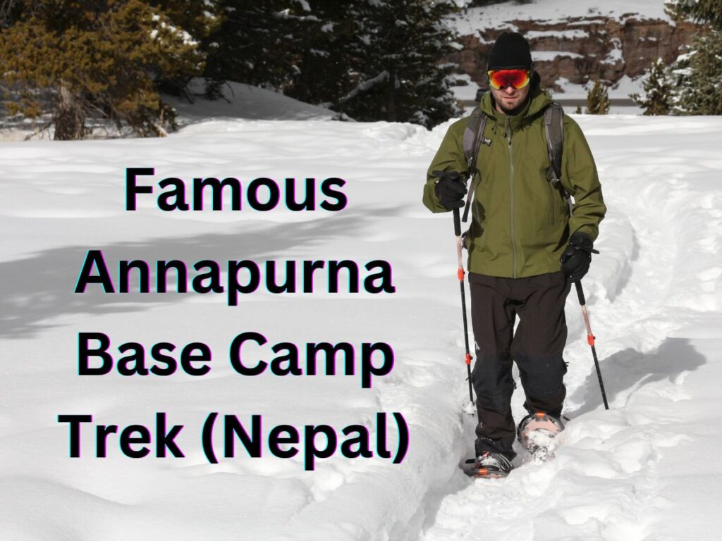Annapurna Base Camp Trek: Essential Guide & Tips