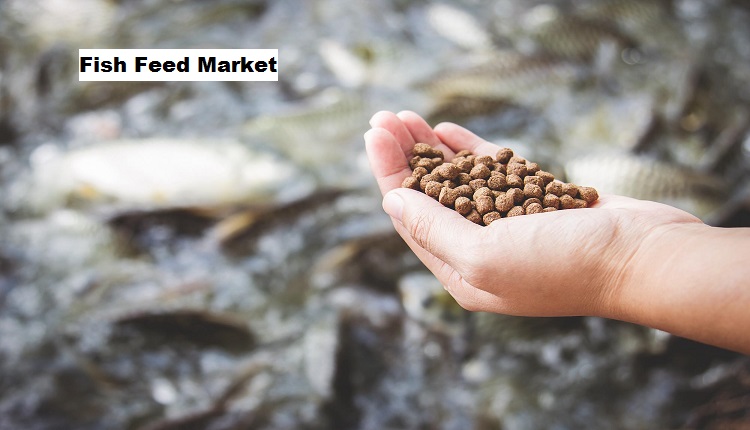 Fish Feed Market Outlook: Future Trends in Aquafeed Technolo