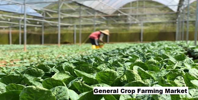 General Crop Farming Market Growth Opportunities