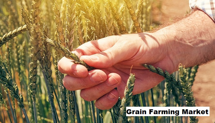 Agricultural Technology Boosting Grain Farming Market