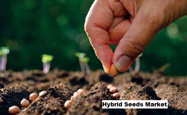 Hybrid Seeds Market Benefiting from Technological Advancemen