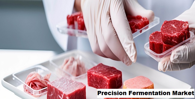 Precision Fermentation Market Expects 33.01% CAGR Growth