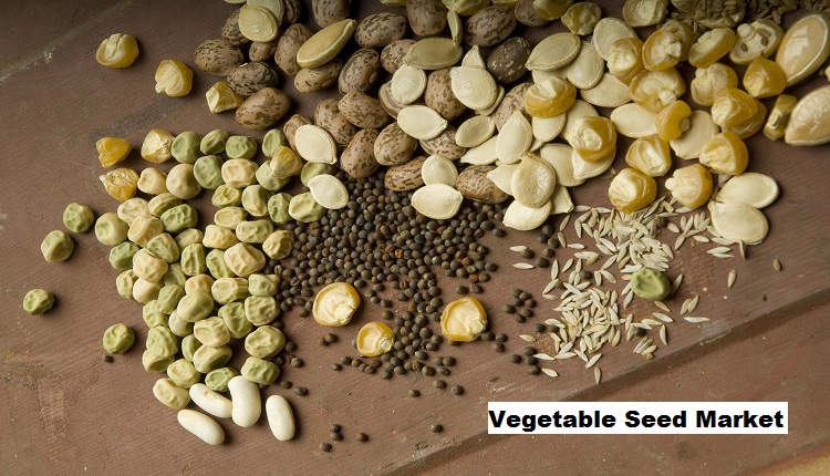 Health & Nutrition Awareness Impacting Vegetable Seed Market