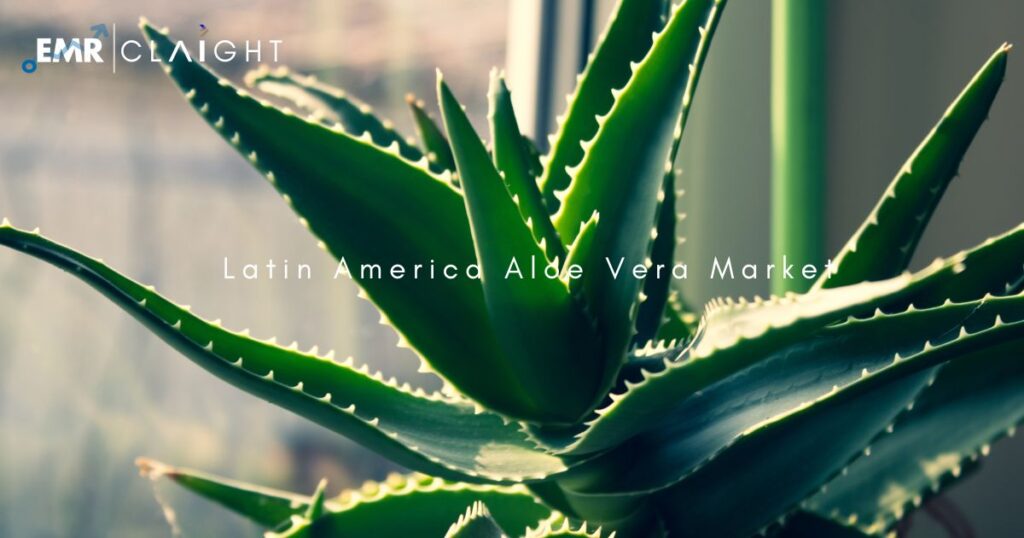 Aloe Vera Market: Cultivation, Applications, and Global Trends