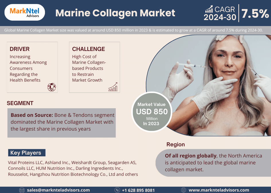 Marine Collagen Market Growth, Share, Trends Analysis under Segmentation and Forecast 2030: MarkNtel Advisors