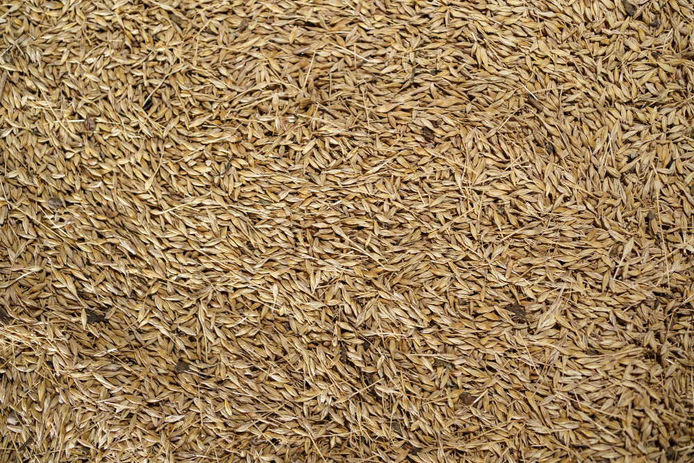 Organic Long Grain Brown Rice | Earth’s Promise