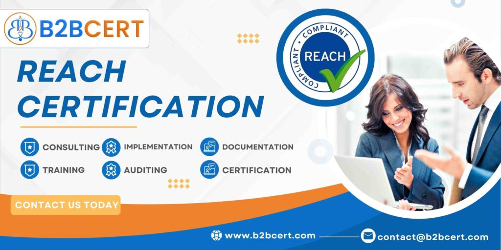 REACH Certification: Key Requirements and Procedures