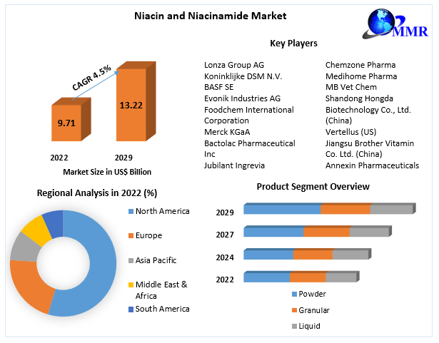 Niacin and Niacinamide Market Insights: Size, Share, Revenue Trends, Opportunities, and Forecast 2023-2029
