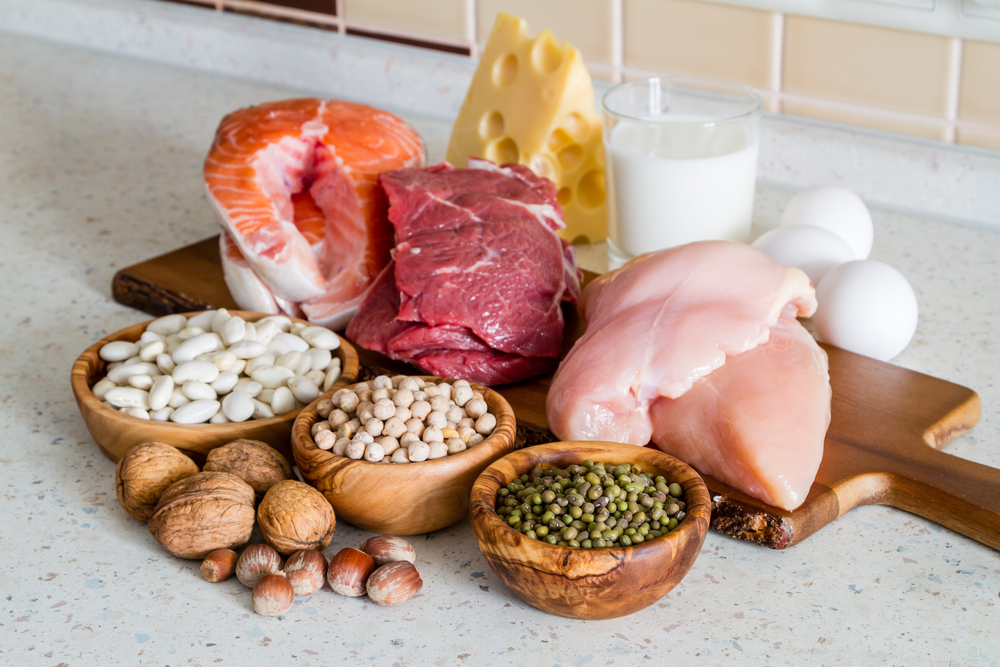 Protein Ingredients Market Research Trends Analysis by 2023