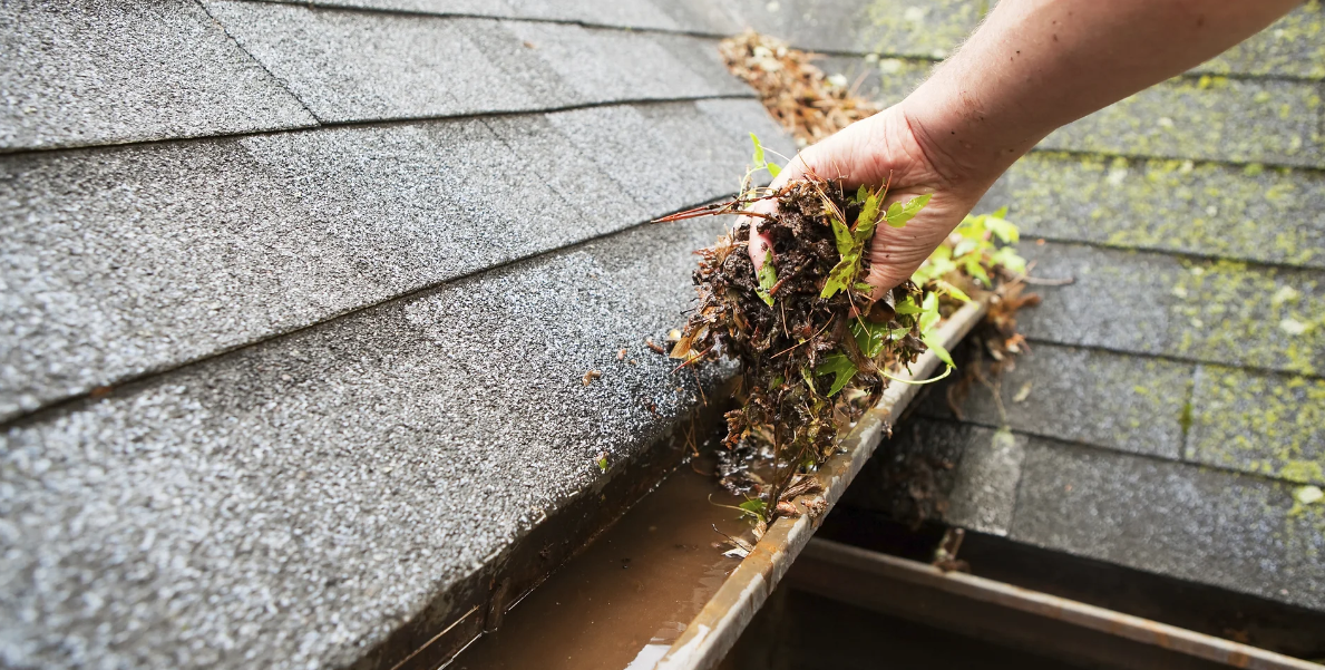 DIY Roof Leak Repair: A Step-by-Step Guide