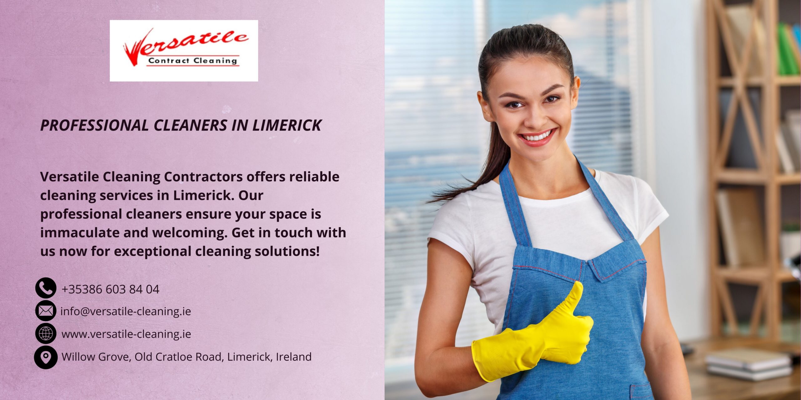 Professional Cleaners in Limerick