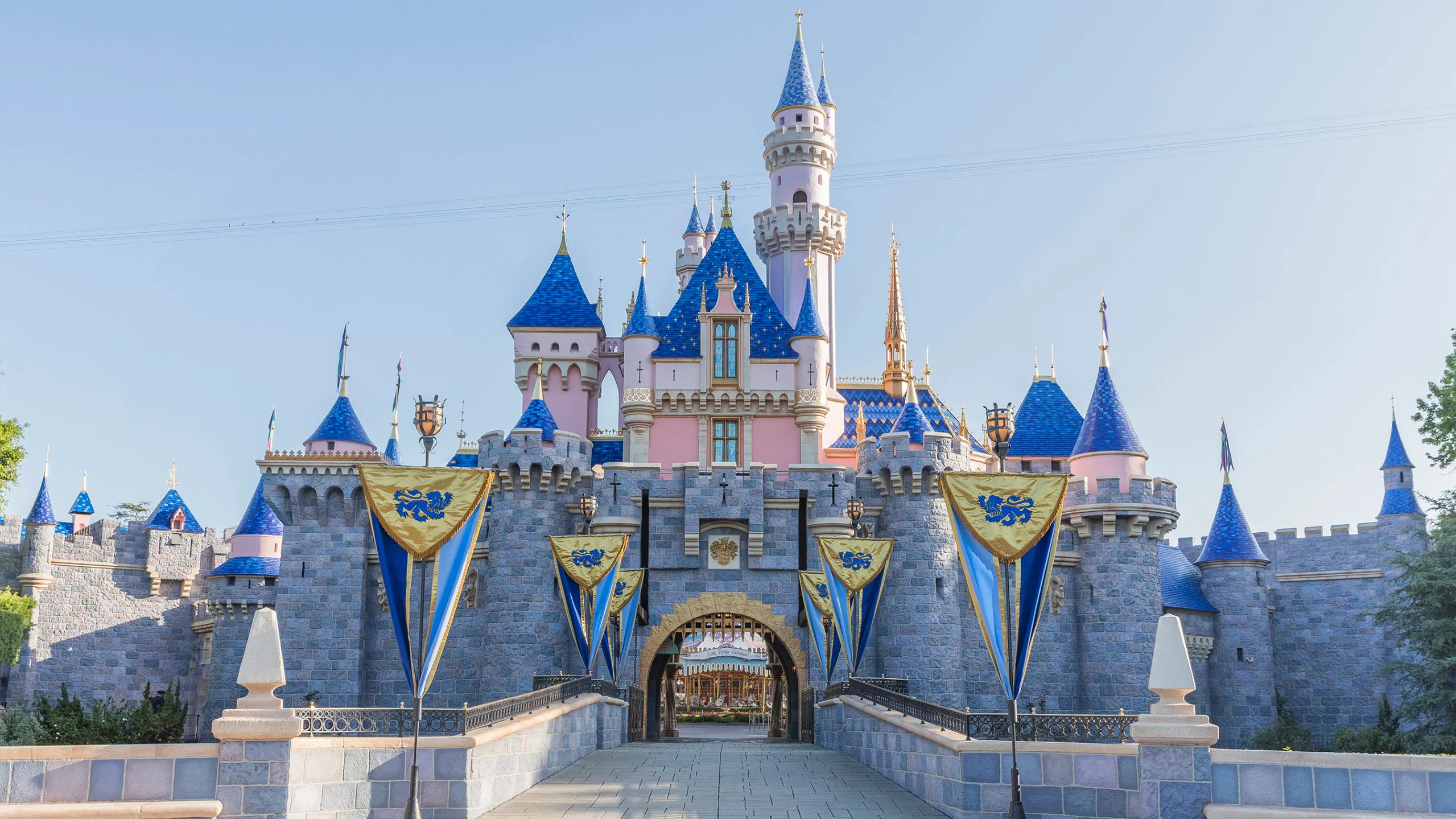 Magical Moments at Disneyland Park California