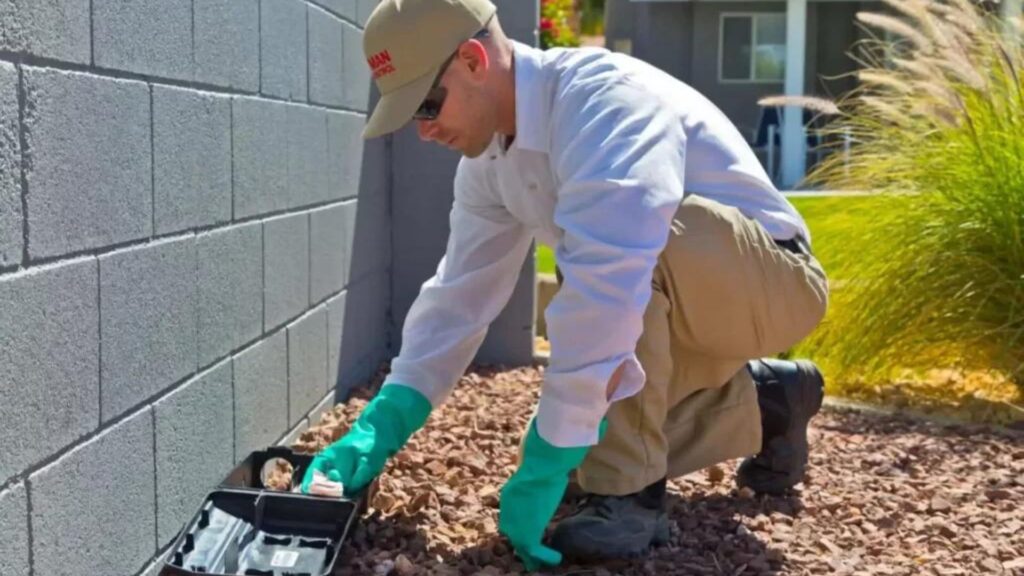 Ultimate Guide to Effective Pest Control in Palm Desert