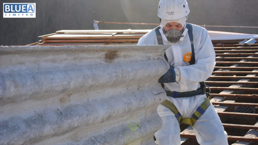 New Discussing 5 Best Ways to Conduct Asbestos Removal