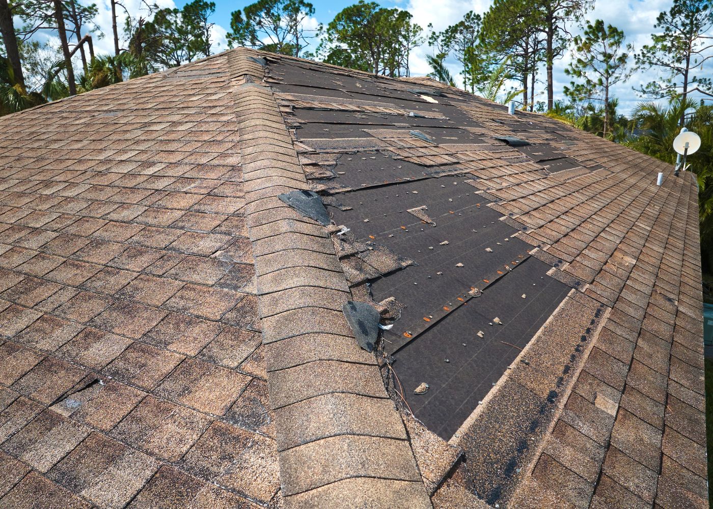 Identifying and Addressing Storm Damage to Your Roof