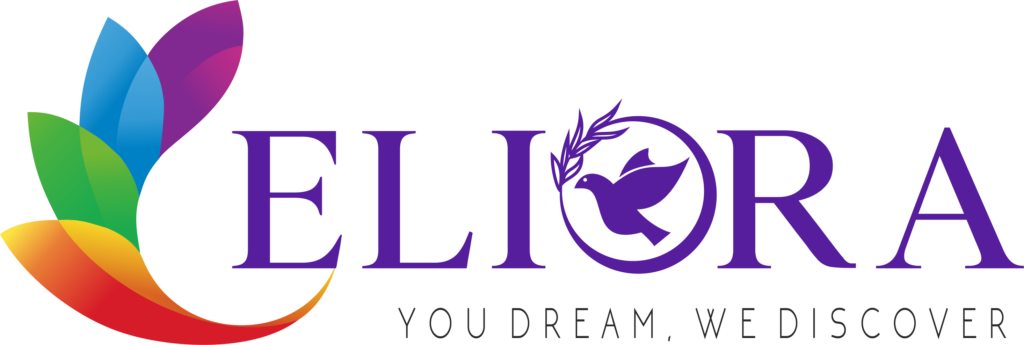 Top Leading Nagpur Non-Voice Service Company | Vflyorions