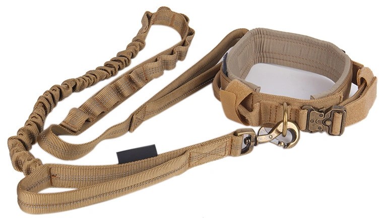 Top Trends in Dog Leash Manufacturing and Design