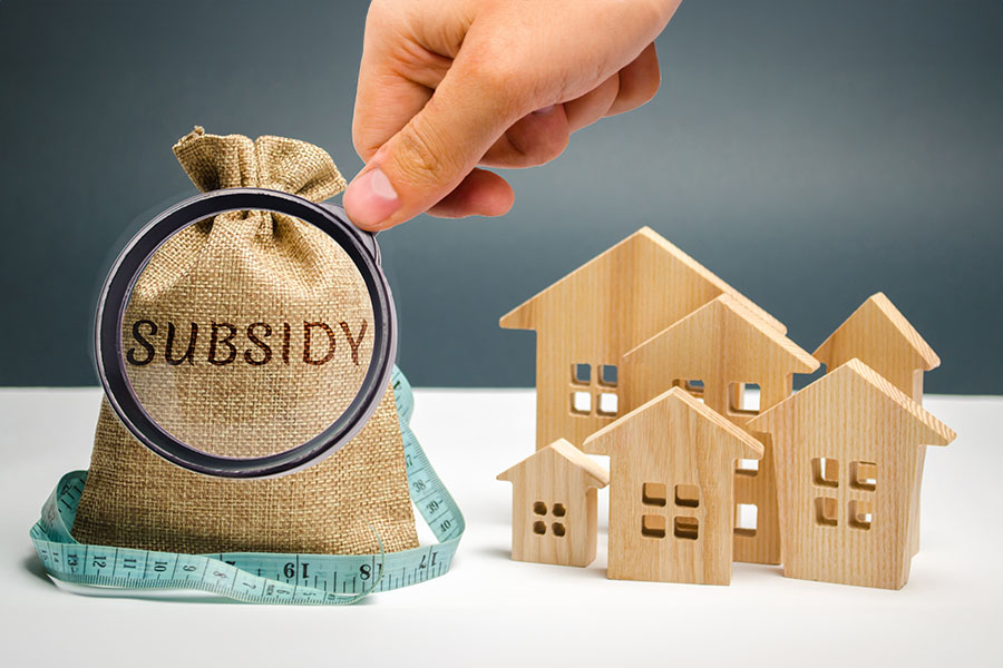 Subsidy Loan Services: What You Need to Know