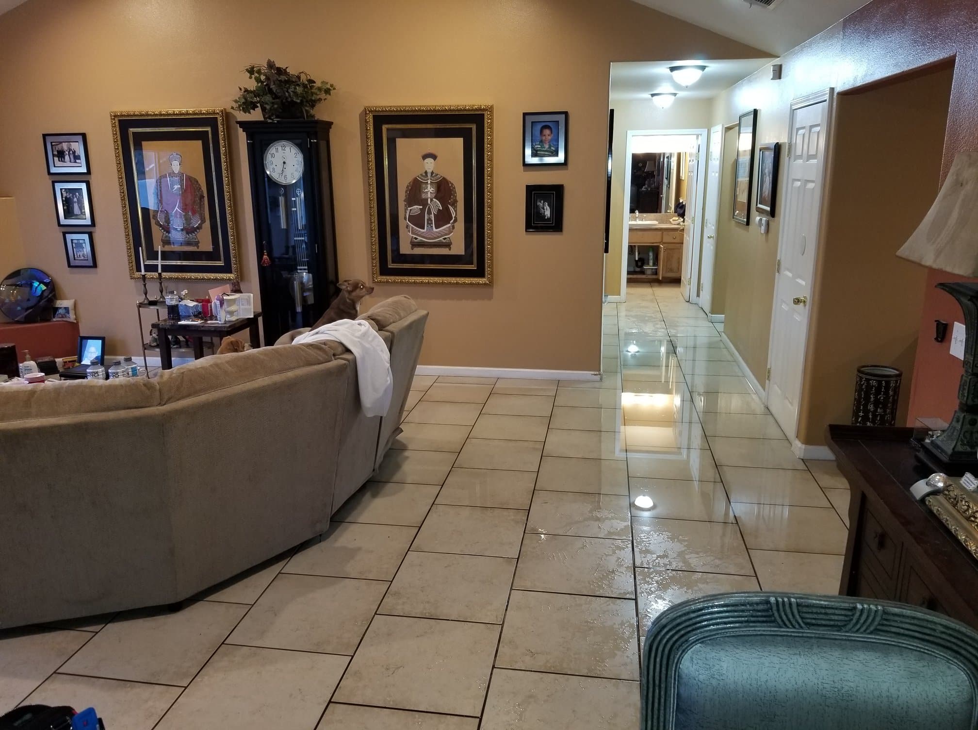 Preventing Water Damage: Best Practices for Homeowners