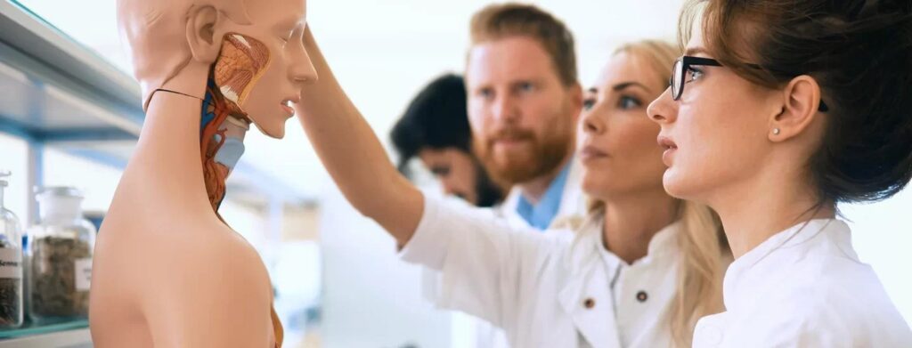 Why Consider a Nursing Aesthetics Course at Queen Ae