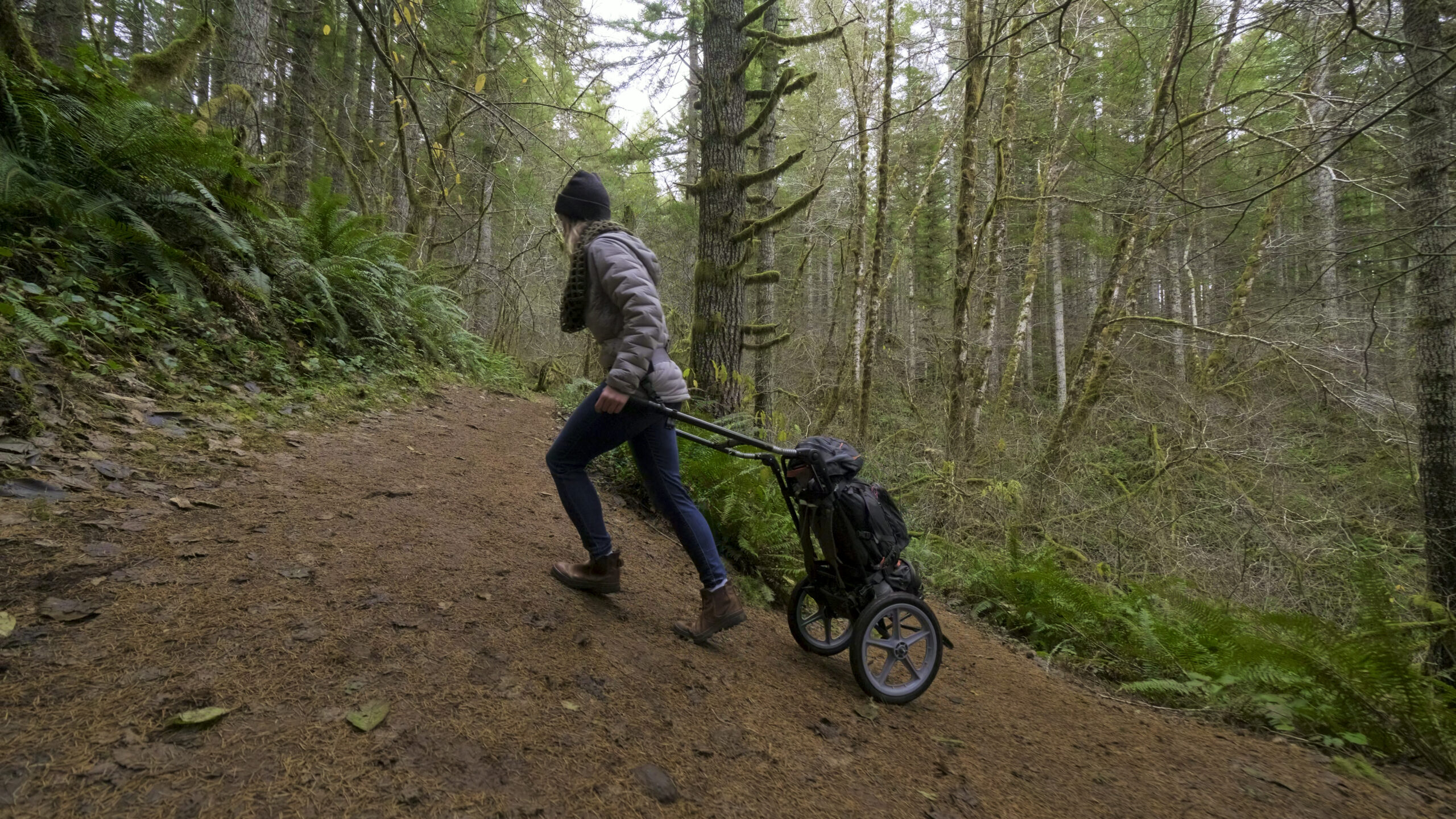 Experience Effortless Hiking with HipStar: The Ultimate Hand