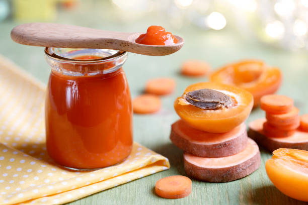 Organic Baby Food Market Insights: Current Size, Share 2032