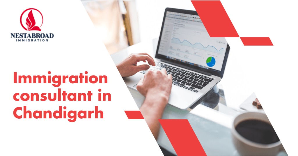 The Role of Immigration Consultants in Chandigarh Explained