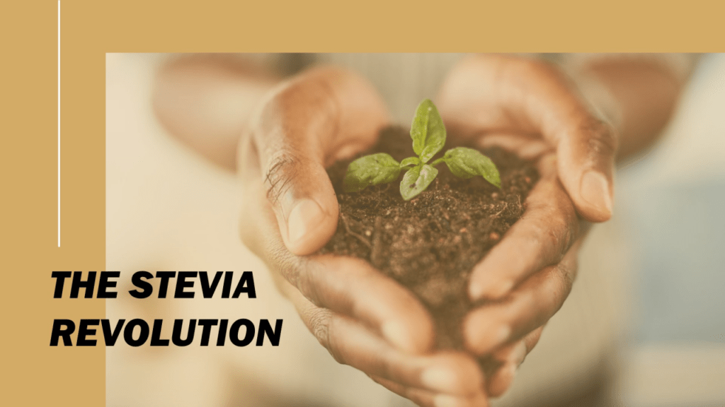 Stevia Market: Size, Insights, Forecast, and Future Demand