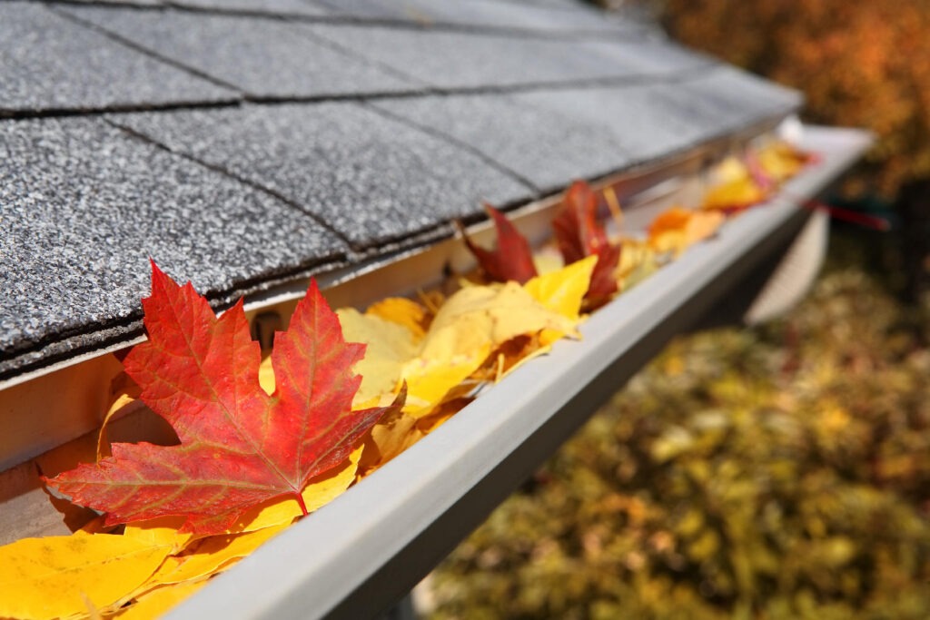 Best Gutter Cleaner Omaha: Your Go-To Solution for Gutter Ma