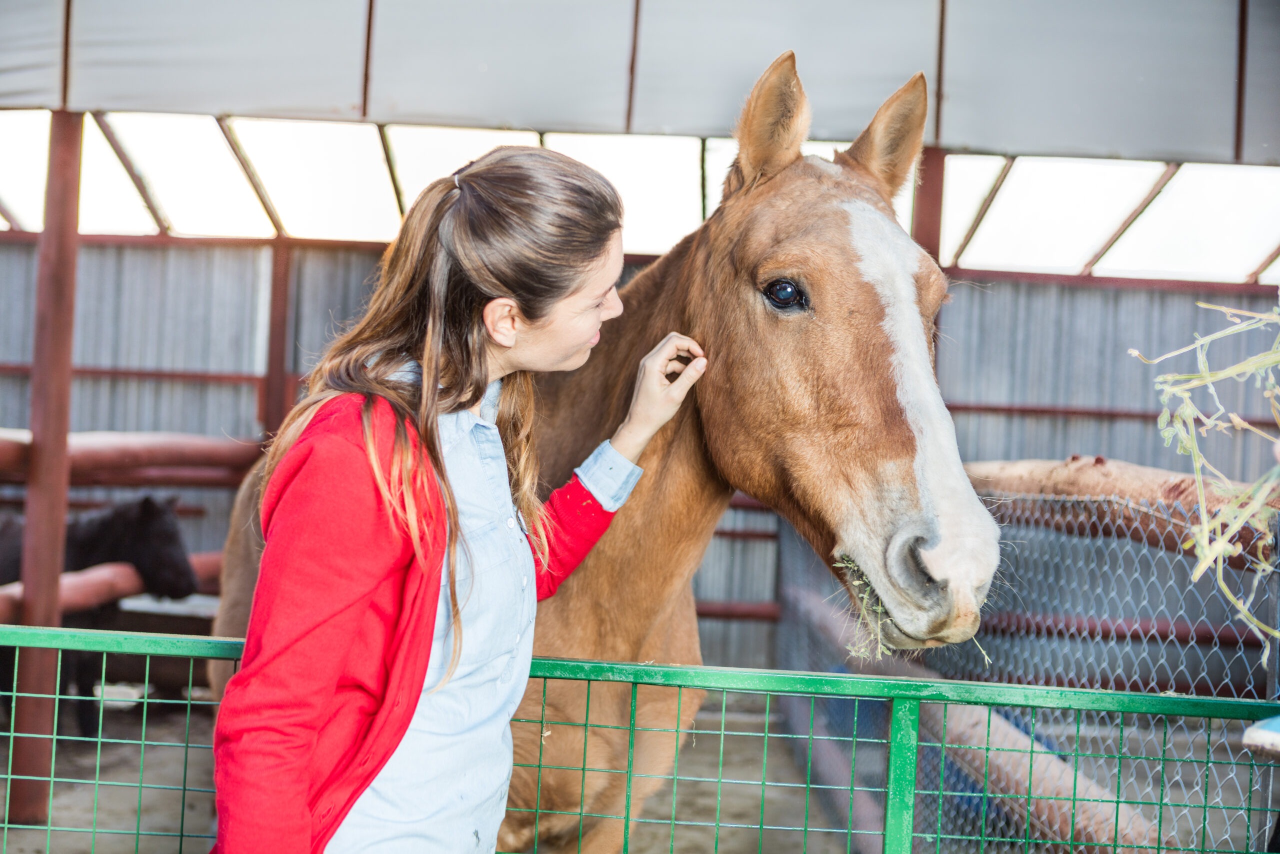 The Remarkable Benefits of Innovative Equine Veterinary Care