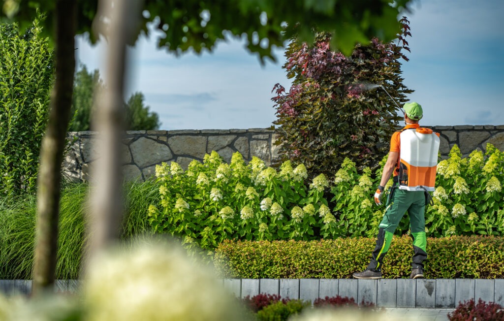 How to Create a Beautiful Outdoor Living Space in Guelph