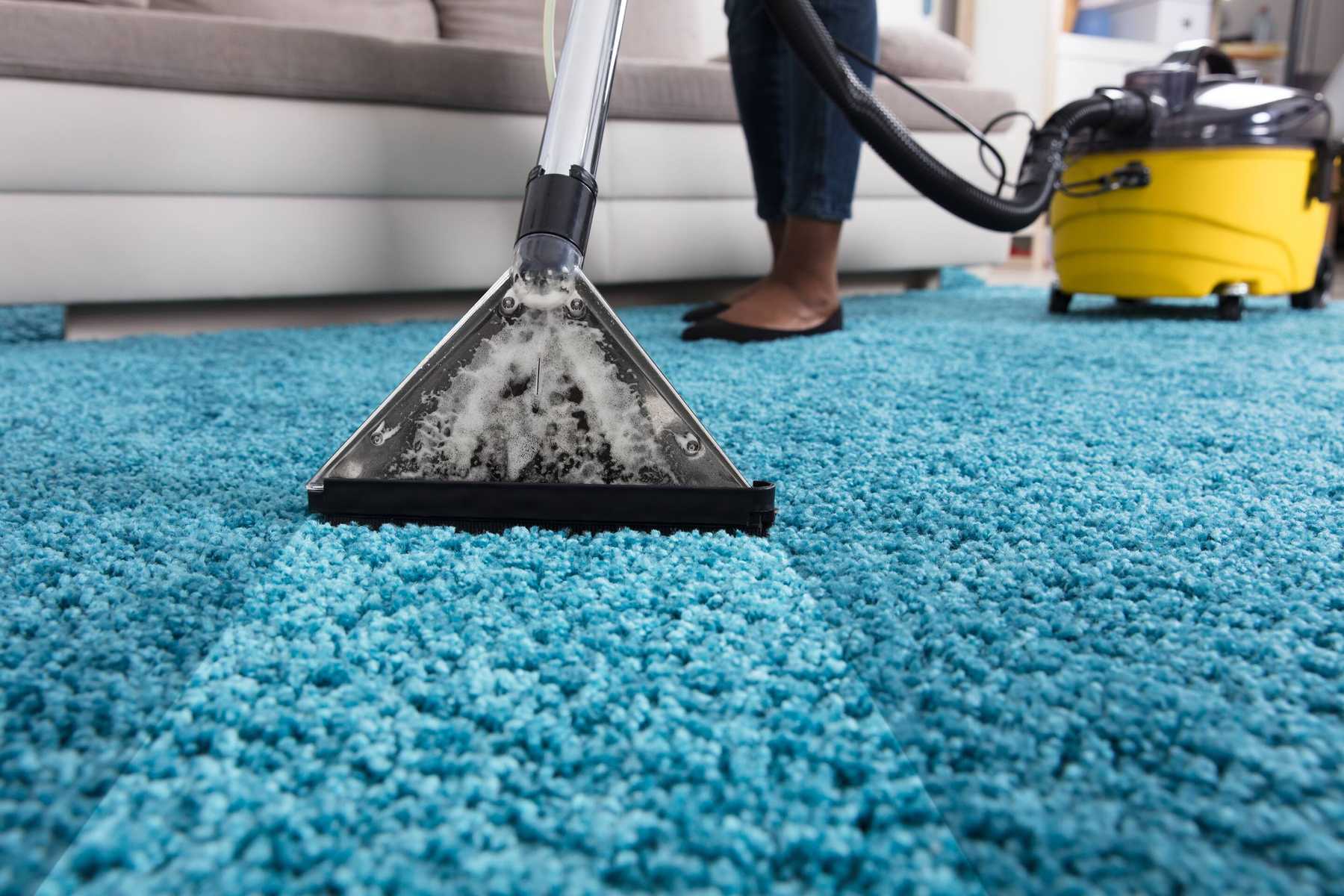 The Allergy-Reducing Benefits of Professional Carpet Cleaning Services