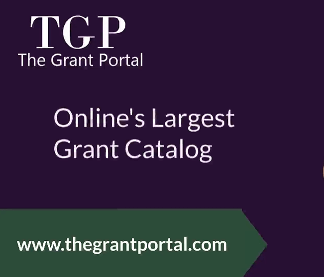 The Role of Government Grants in Supporting Nonprofit Organi