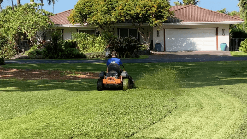 What Are the Best Drought-Tolerant Plants for Hawaii?