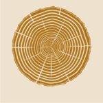 New PostCustom Large Stencils for Home Décor and Business Br