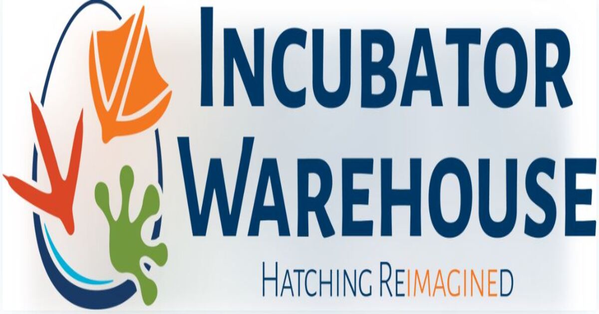 Troubleshooting Common Problems with Egg Incubators