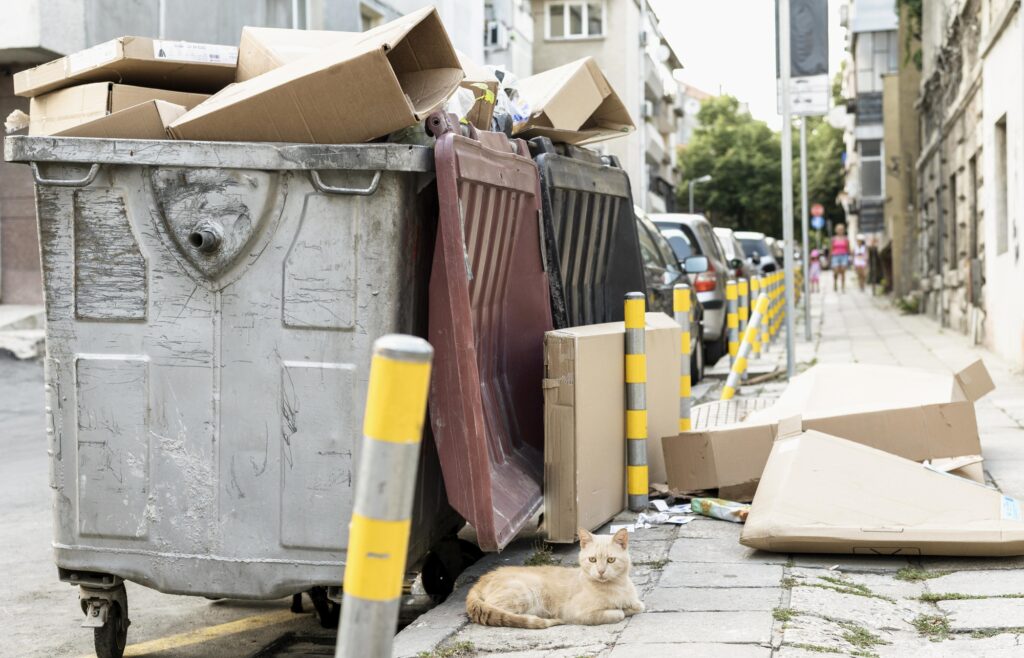 New PostEssential Tips for Efficient Junk Removal in Portlan