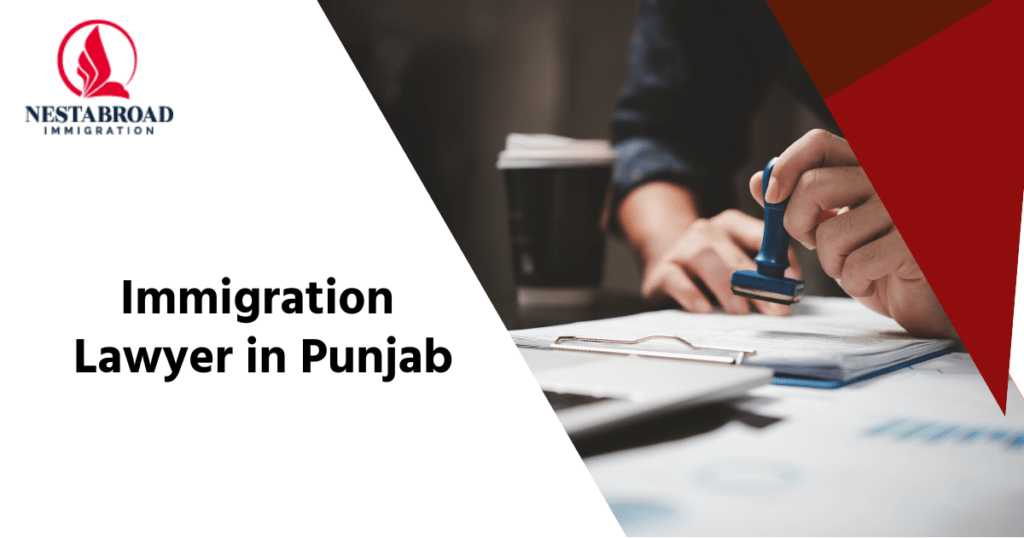 Guide to a Successful Immigration Journey with Nestabroad
